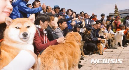 전국 애견인들 문재인 후보 지지선언 | 인스티즈