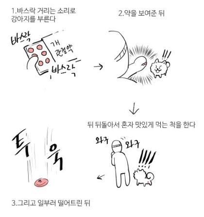 개 약 먹이는 방법.jpg | 인스티즈