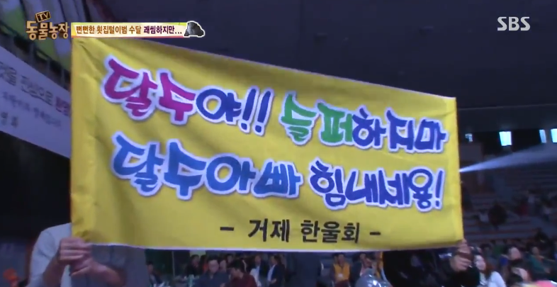 매일 생선털리는 횟집사장님 (Feat.달수) | 인스티즈