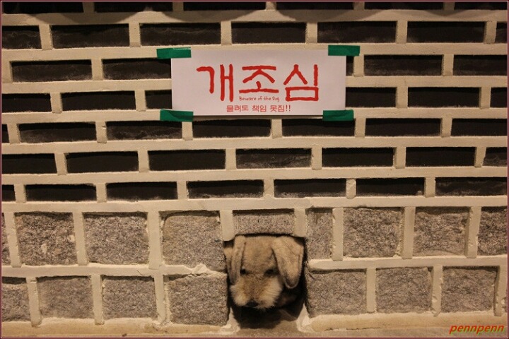 안녕하세오 멍멍이 조심해주세오.jpg | 인스티즈