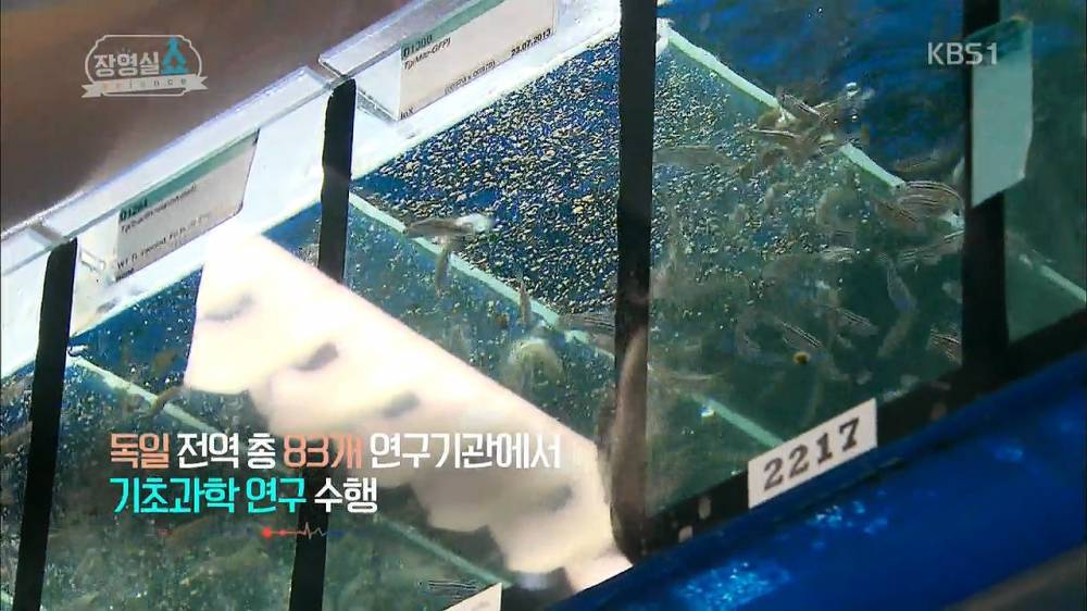 한국 과학의 미래 | 인스티즈