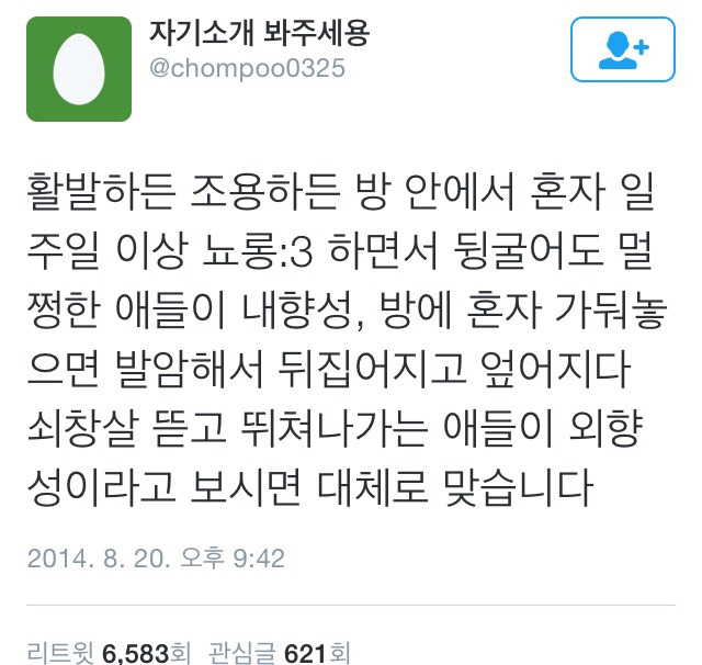 외향성 사람과 내향성 사람에 대한 오해와 사실 | 인스티즈
