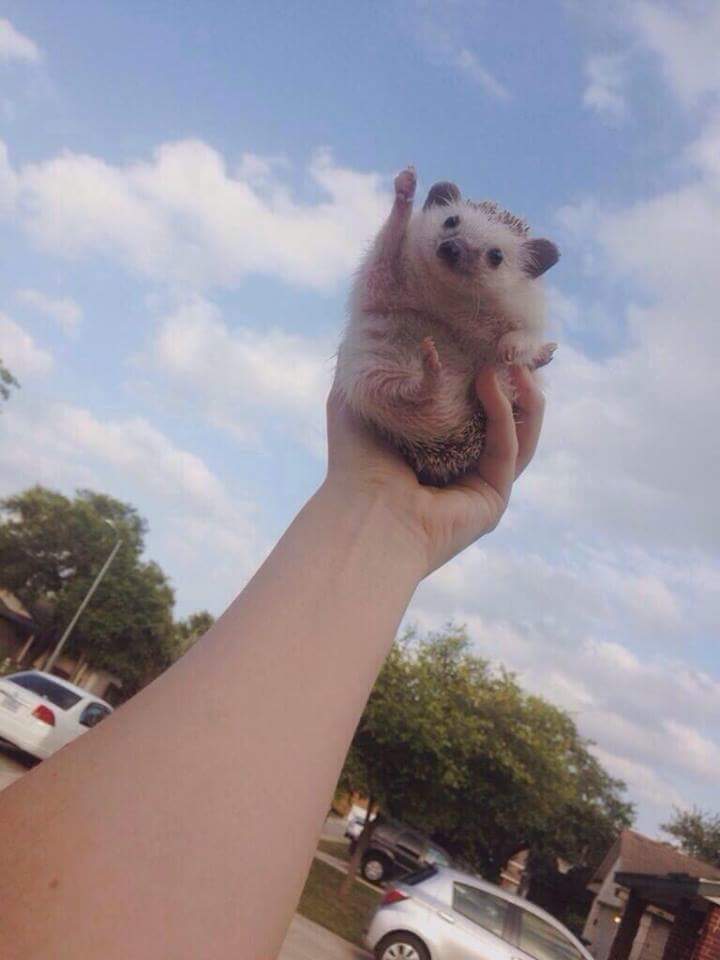 이공삼 이미지