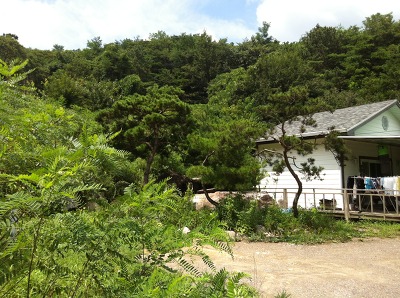 지리산양봉원 이미지