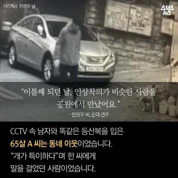 제 강아지가 잡아먹혔습니다 | 인스티즈