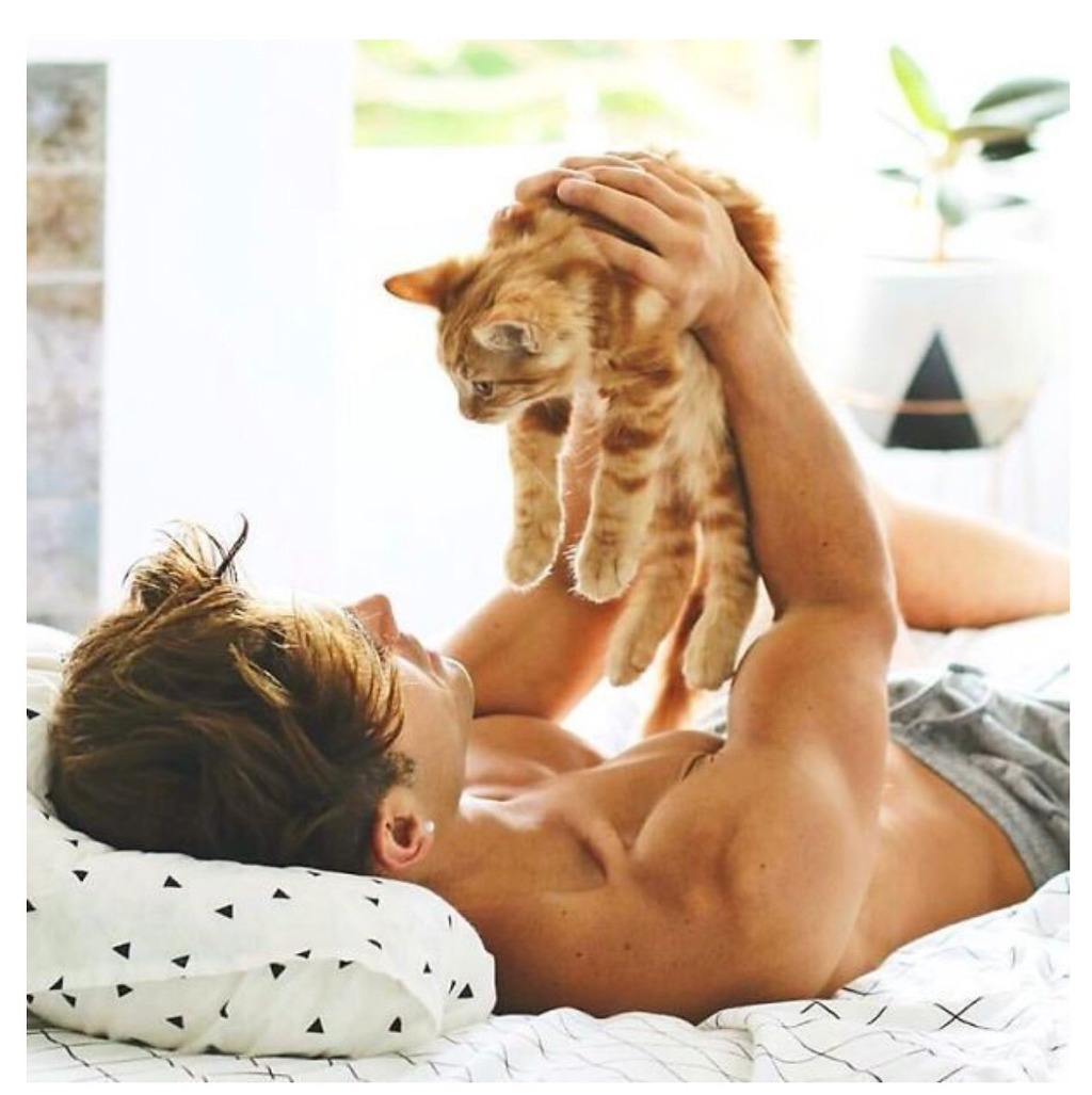 난 고양이 좋아하는데? | 인스티즈