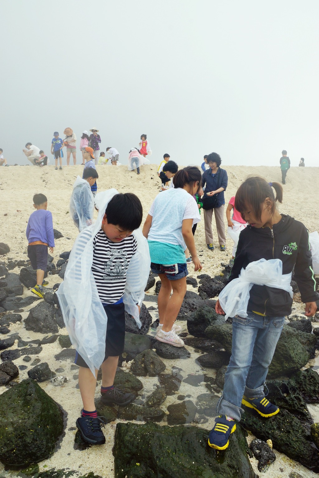 모항초등학교 이미지
