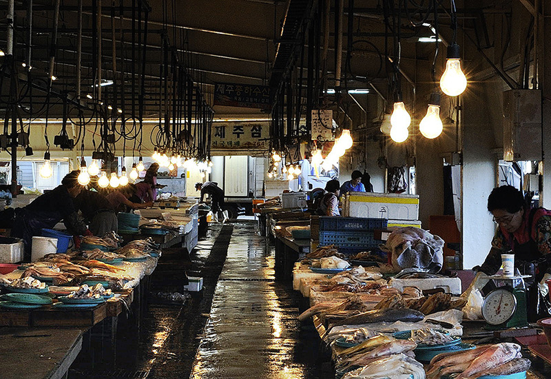 세화마트 이미지