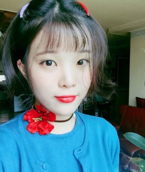 역대급 아이유 닮았다는 사진작가ㄷㄷㄷㄷ | 인스티즈