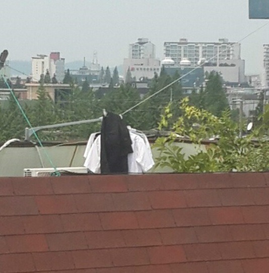 귀신을 봤다는 사람들의 상당수가 이런식일듯 | 인스티즈