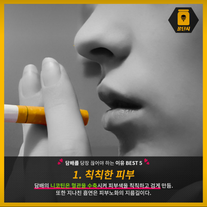 담배를 당장 끊어야 하는 이유 BEST5 | 인스티즈