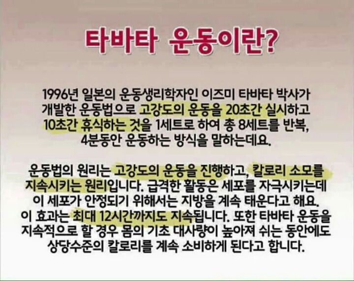 4분운동으로 1시간효과를 보는 뱃살 빼는 4분 타바타 운동법 | 인스티즈