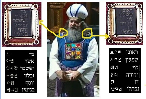 청색자색 이미지