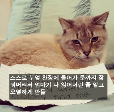 사랑스런 악동들 | 인스티즈