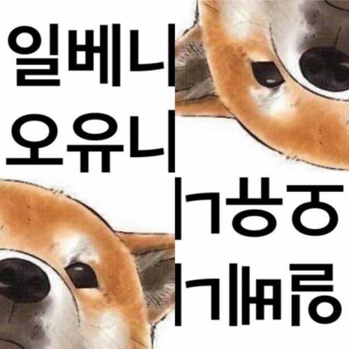 인스타그램의 계정ㅋㅋㅋㅋㅋ | 인스티즈