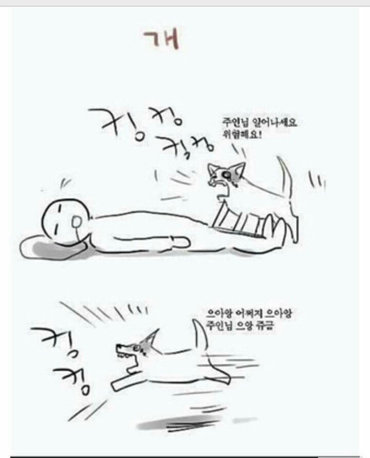 주인이 위험에 처했을때 개와 고양이의 차이.jpg | 인스티즈