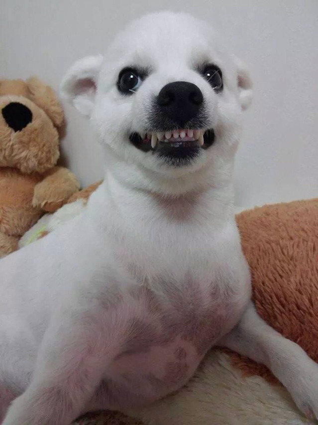 설렘 이미지