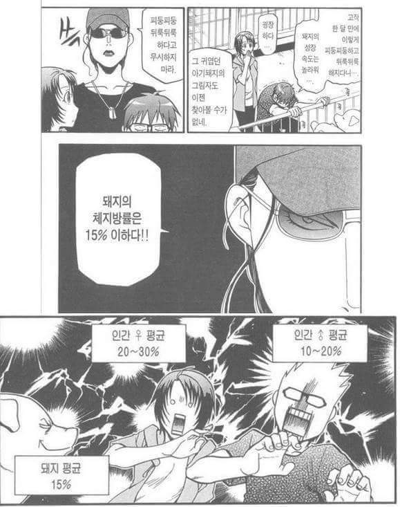 돼지를 무시하면 안되는 이유 | 인스티즈