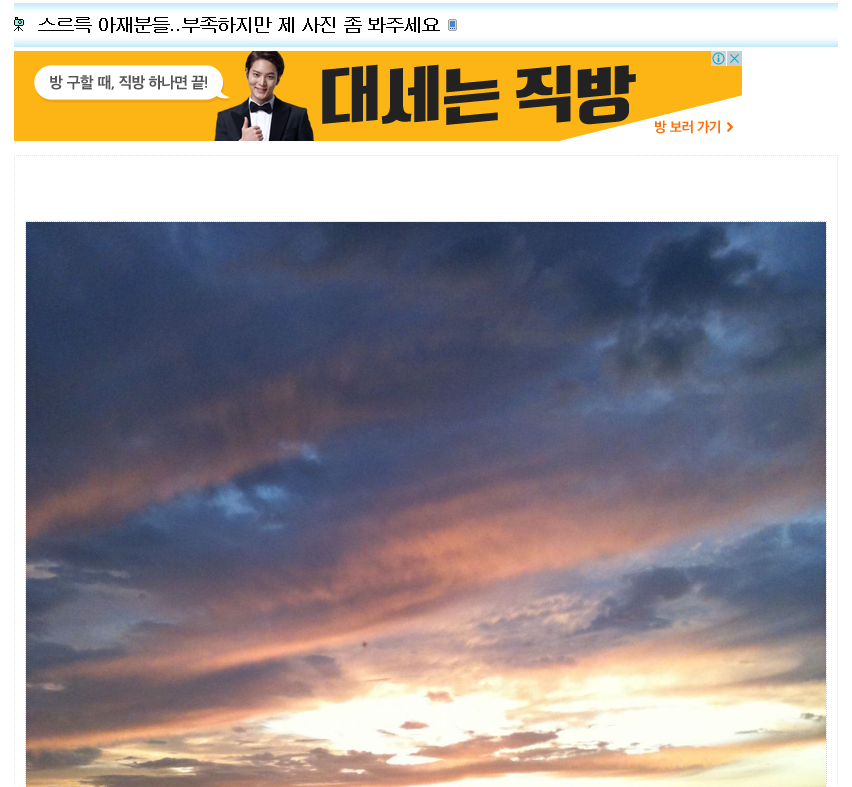 SLR 아재들 저도 좋은 사진 찍어 보고 싶어요...JPG | 인스티즈