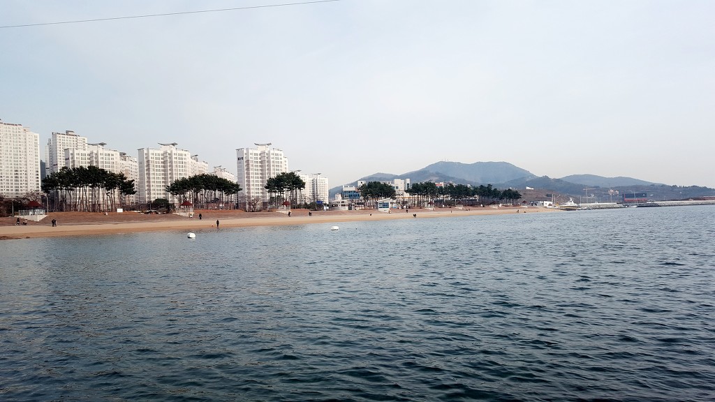 청춘 이미지