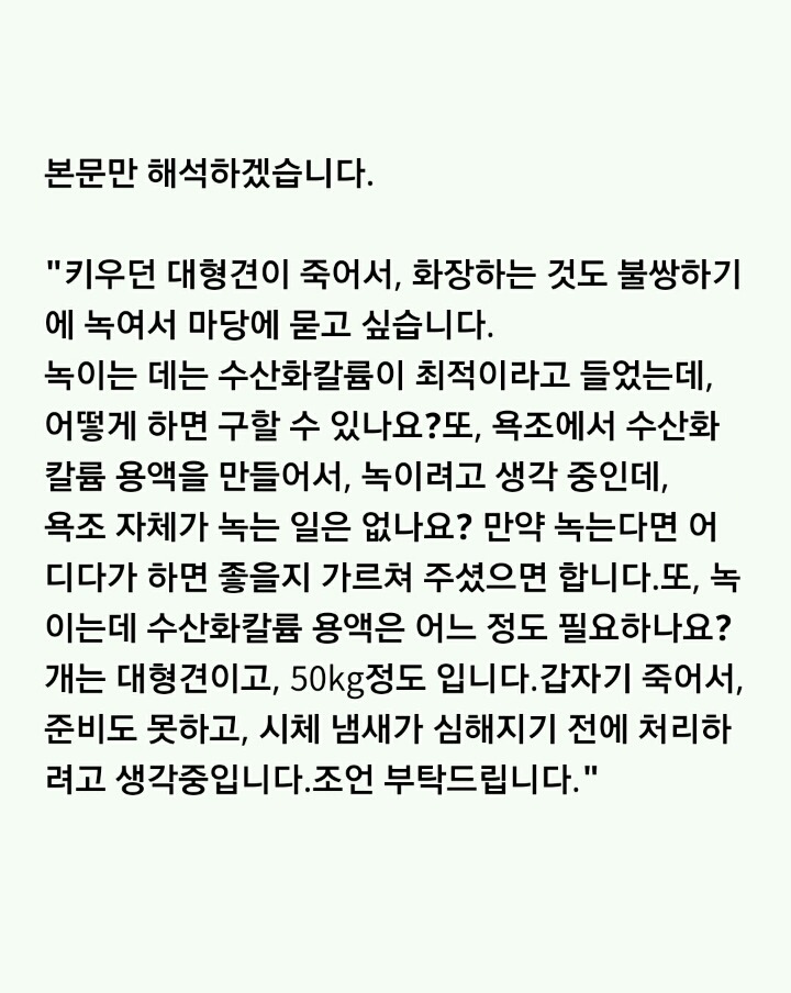 이 지혜주머니가 너무 무서워서 웃을 수가 없어wwww | 인스티즈