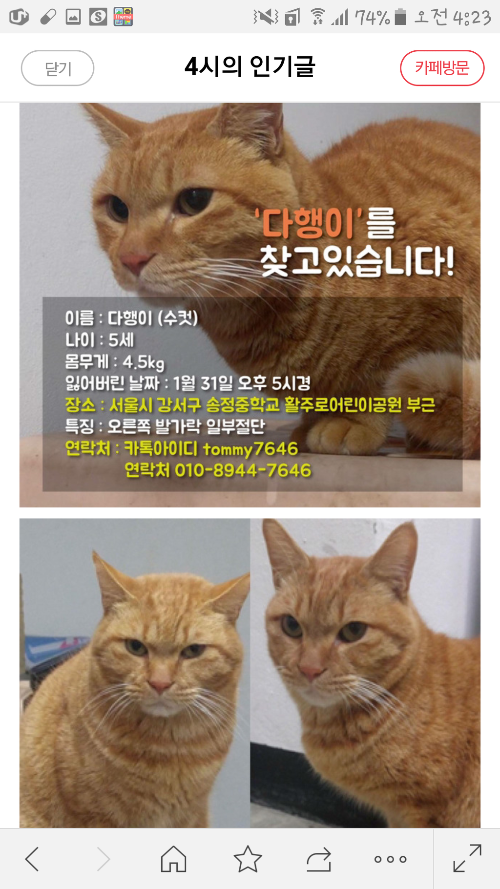 급함 이 고양이 다행이아냐? | 인스티즈