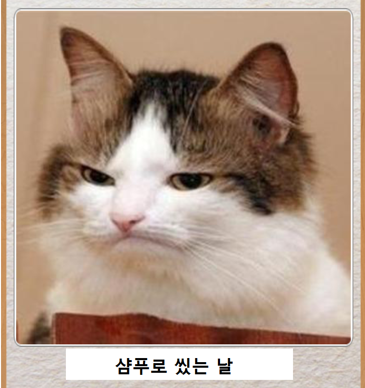 믿고보는 제목학원 | 인스티즈