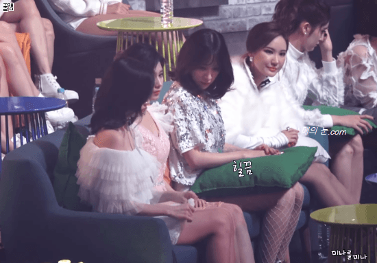 미나와 사나 챙기는 하니와 LE | 인스티즈
