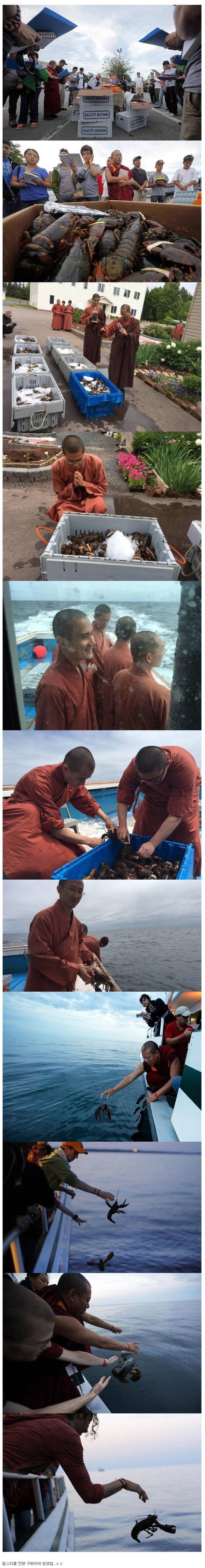 이해됨 vs 안됨 | 인스티즈