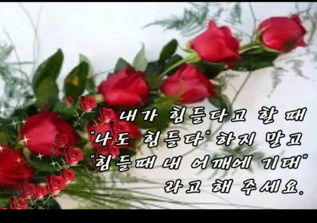 토요일 이미지