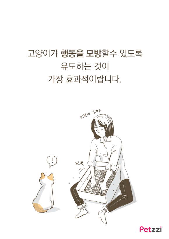 고양이가 긁는 이유(만화).jpg | 인스티즈