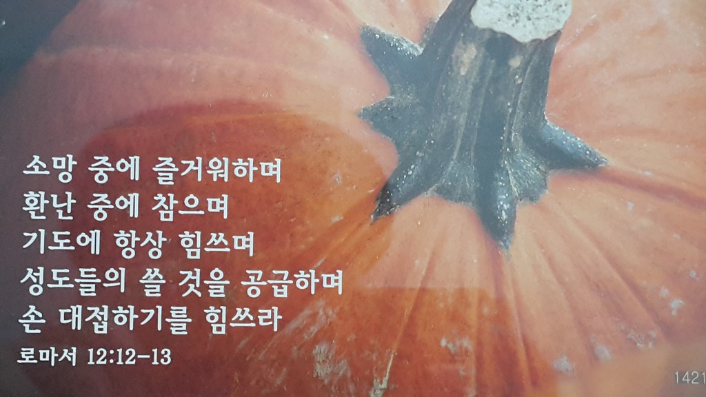 선경문구 이미지