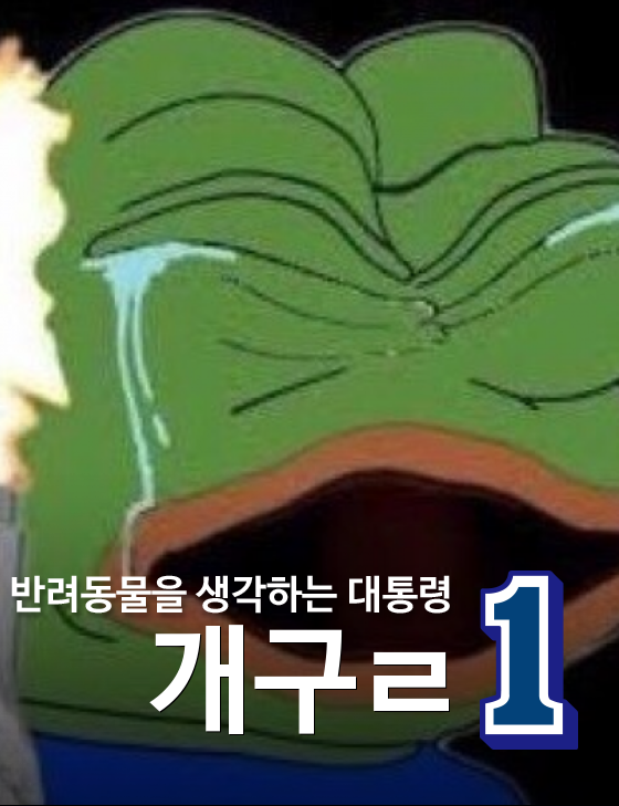 문재인 포스터 현황 | 인스티즈