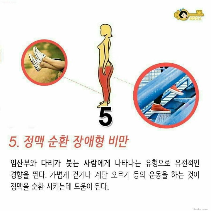 살이 찌는 부위 별 이유 | 인스티즈