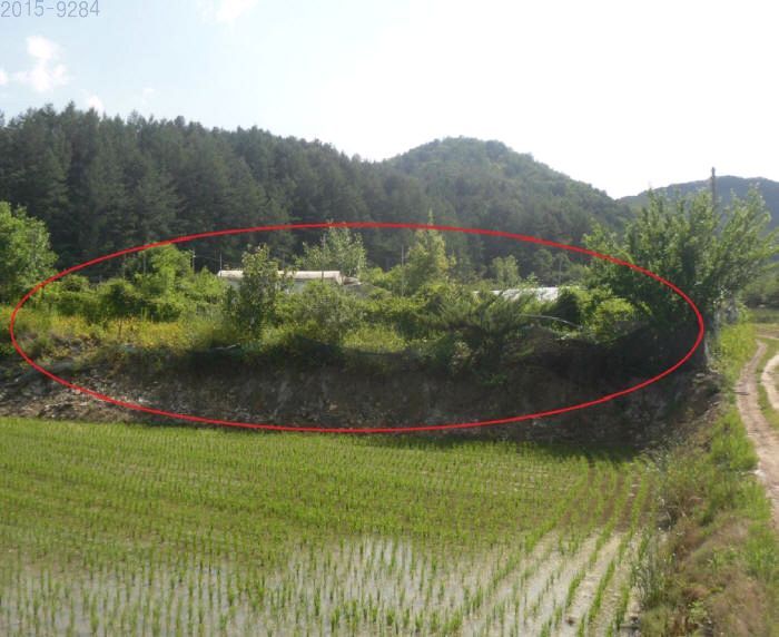 광판리 이미지