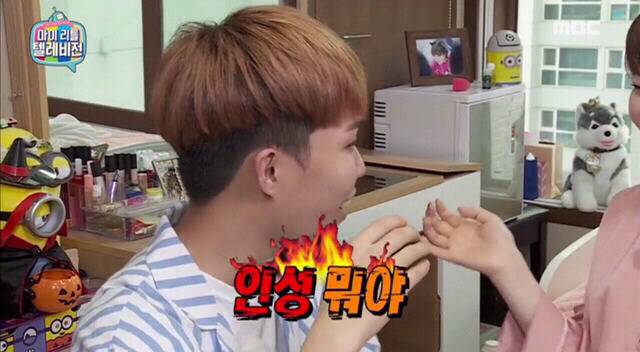 쮸쮸니 이미지
