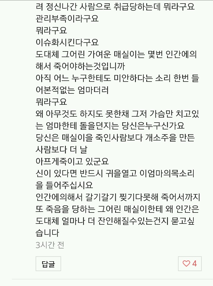 피해자만 고통받고 상처받고 괴로워야하는 이상한 나라에서 저는 피해자가 되었습니다(매실이이야기) | 인스티즈