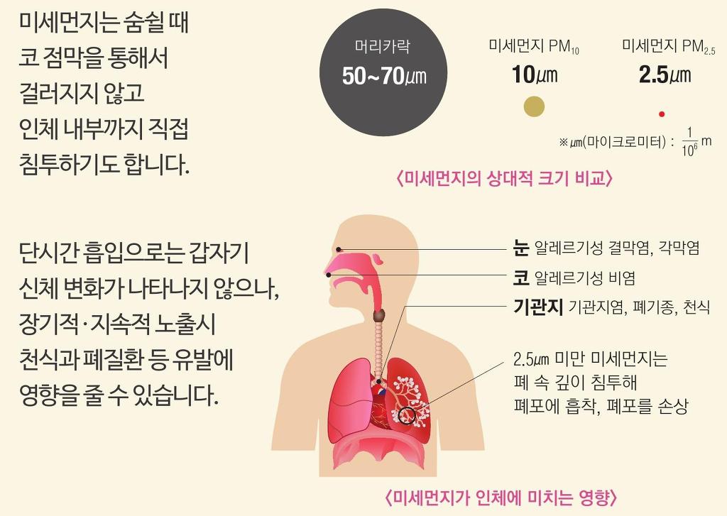 5월 5일 금요일 전국 미세먼지 예보 | 인스티즈