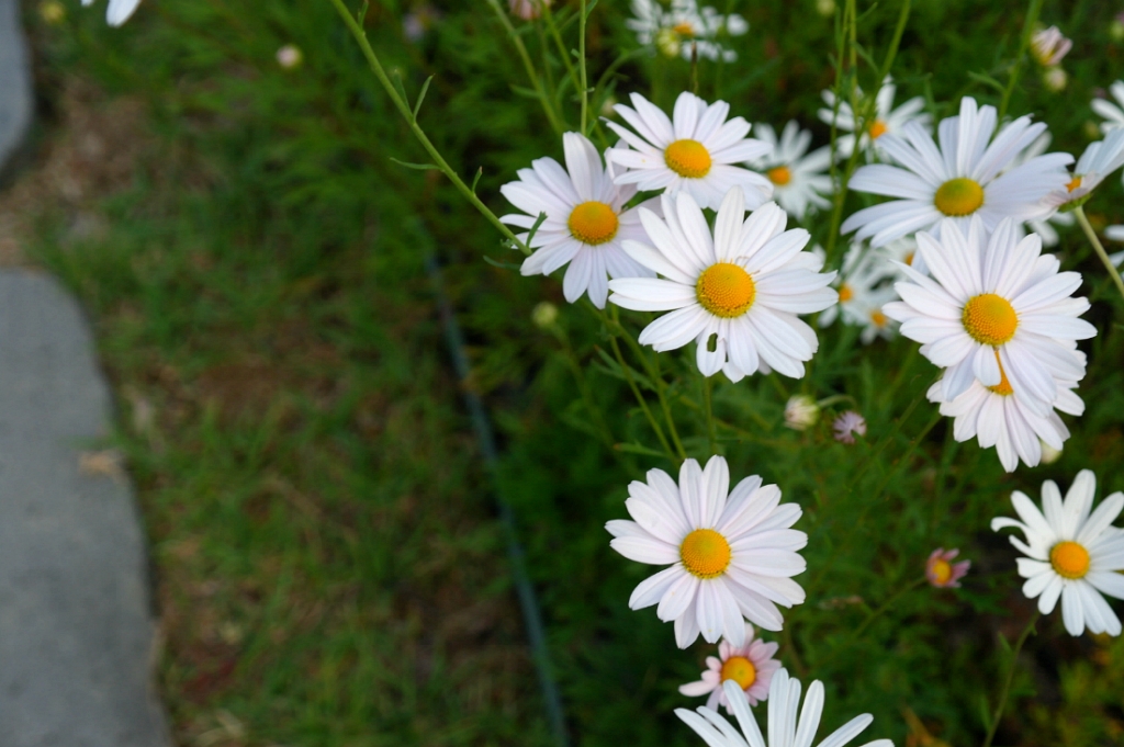 257D4E41525E89D20AB6C7