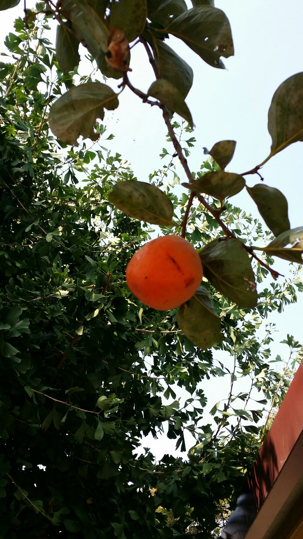 인덕수산 이미지