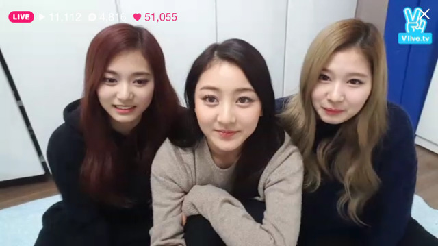 트와이스 지효,사나,쯔위 기습 v앱 라이브 캡쳐 | 인스티즈