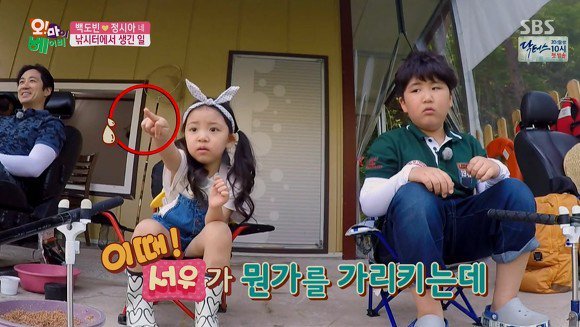법규가 난무하는 가족 | 인스티즈