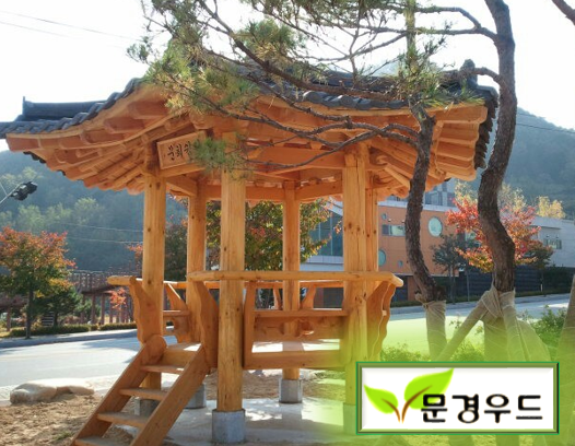 정자 이미지