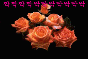 화랑정보통신 이미지
