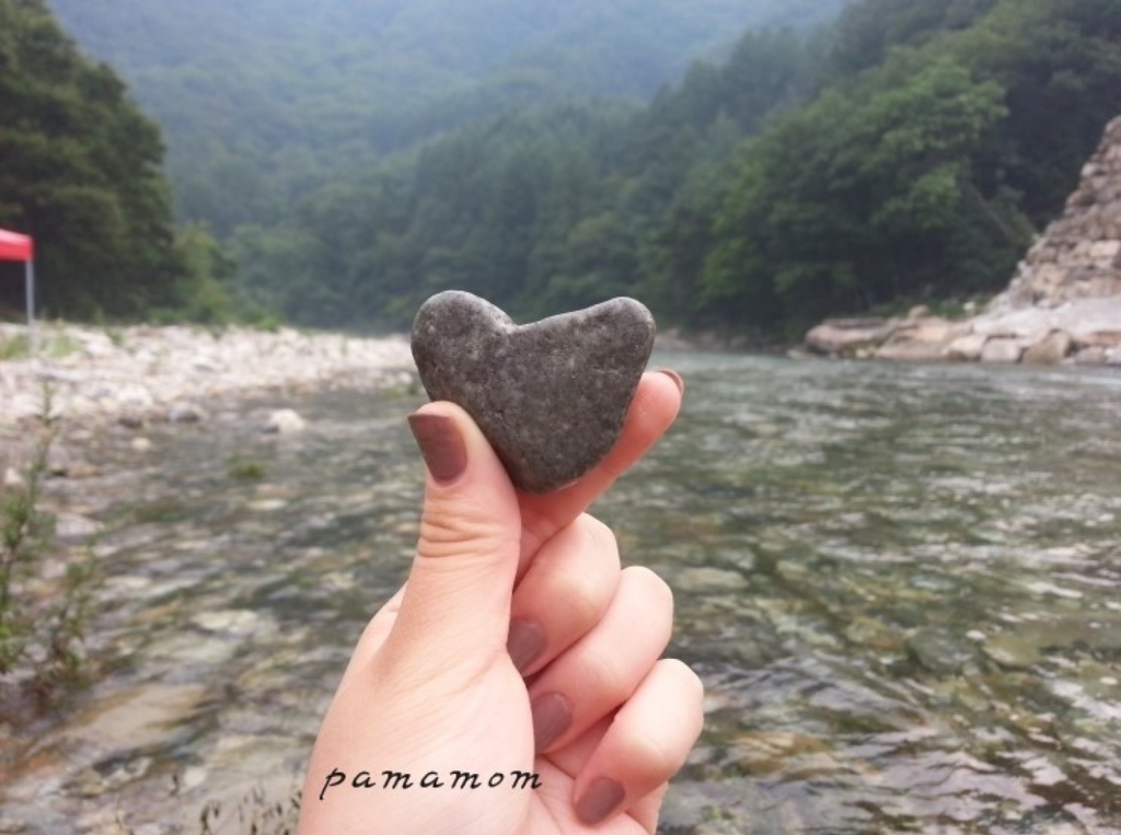 한솔농원 이미지