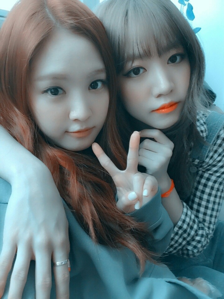 에이핑크 | 인스티즈