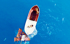 [라이프오브파이] 아이맥스로 안본게 후회되는 영화.jpgif | 인스티즈