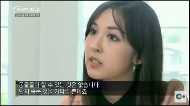 당신이 입고있는 따뜻한 겨울외투의 진실 (동물피 주의) | 인스티즈