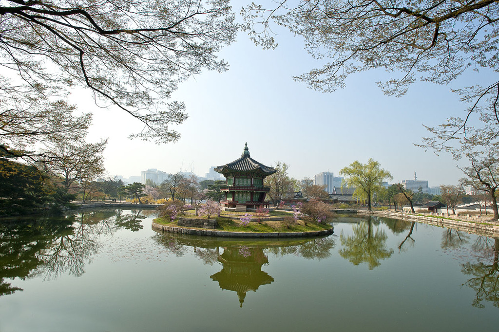 향원 이미지