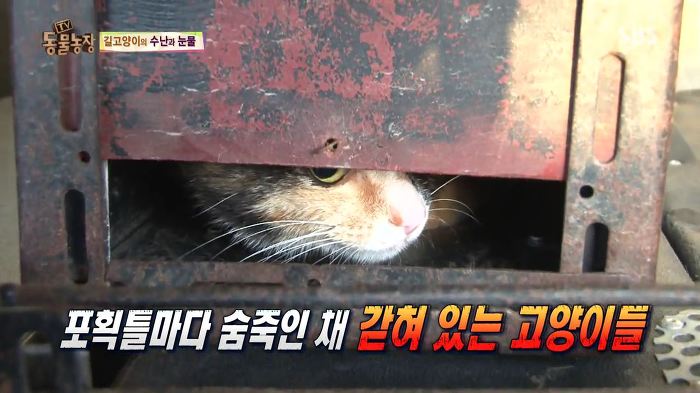 눈앞에서 제 아이가 맞아죽었습니다. 도와주세요 | 인스티즈